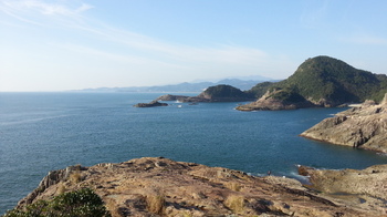 20121108_090156.jpg