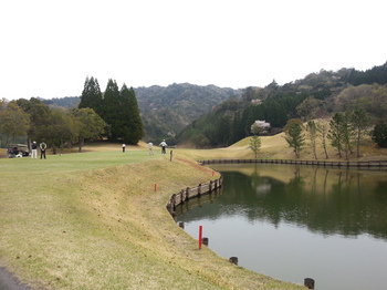 20130323_113939.jpg