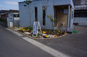 会社事務所の花が綺麗です。