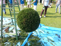 20130907_152150.jpg